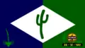Vlag van Olivedos