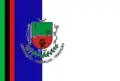Vlag van Pereiras