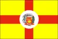 Vlag van Saltinho