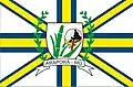 Vlag van Araporã