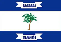 Vlag van Bacabal