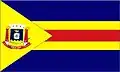 Vlag van Barão de Cocais