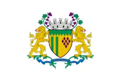 Vlag van Caxias do Sul