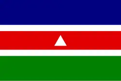 Vlag van Juiz de Fora