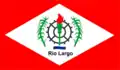 Vlag van Rio Largo