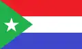 Vlag van São Vicente Férrer