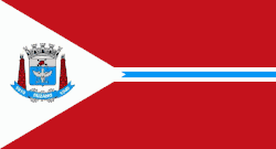 Vlag van Suzano