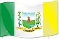 Vlag van Uruoca