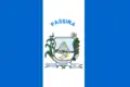 Vlag van Passira