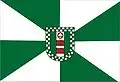 Vlag van Rio dos Cedros
