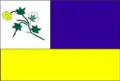 Vlag van São José do Sabugi