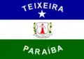 Vlag van Teixeira