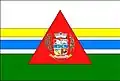 Vlag van Carneirinho