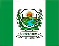 Vlag van Gurinhém