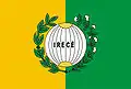 Vlag van Irecê