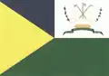 Vlag van São Miguel do Guaporé