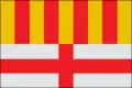 Vlag van Manresa