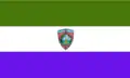 Sonsonate: Vlag