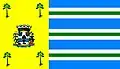 Vlag van Pinhalzinho