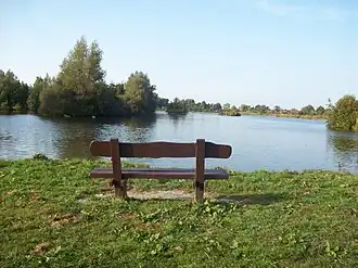 Een bankje in de Goudse Hout met uitzicht over de natuur.