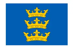 Bannier van de Heerlijkheid Ierland