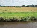 Polderland bij Barßel