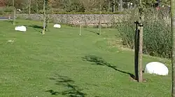 Vreemde planten en gevallen wolken (2002), Barendrecht