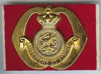 Baretembleem van het OCOSD