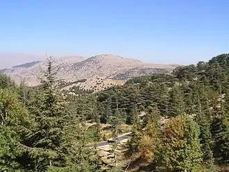 Natuurreservaat Al Shouf Ceder