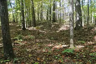 Slag bij Pickett's Mill