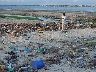 Strand van de Msasani Baai, Dar es Salaam, Tanzania