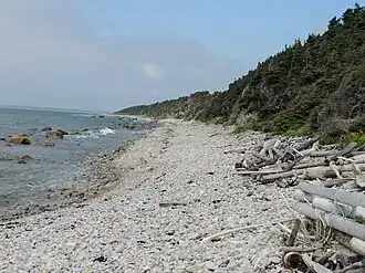 Strand net buiten Sally's Cove