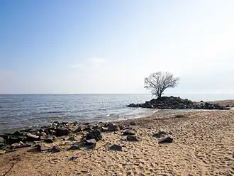 Oevers van het Chankameer.