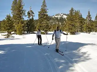 Langlaufers in het Bear Valley-wintersportgebied