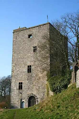 De Salamandertoren (gezien vanuit de vallei van de Hantes).