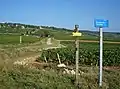 Wijngaarden bij Beaune, langs de GR76A