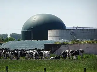 Giersilo bij biogasinstallatie