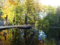 Bosvijver met terras