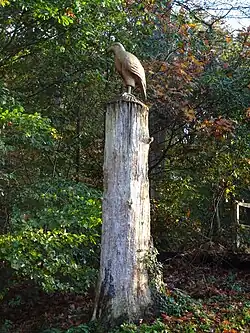 Houtsnijwerk Arend door Frans Giesen