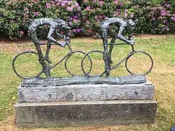 Beeld van wielrenners