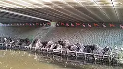 Afgebeelde dieren en faunapassage (november 2018)