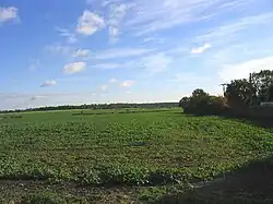 Bietenveld in Fingrith Hall