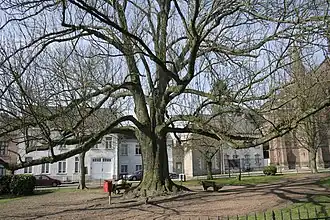 Beloeil, met 14.203 inwoners op 61,6 km² en een dichtheid van 231 inw./km² de Waalse gemeente die het best aansluit bij het gemiddelde voor het gewest