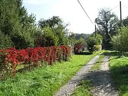 Pad in het dorp (2014)