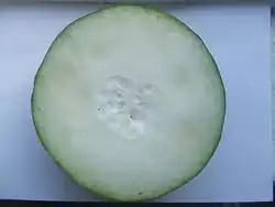 Doorsnede van waspompoen