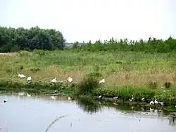 Gezien vanaf Bentwoudpad