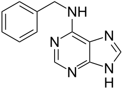 Structuurformule van 6-benzyladenine