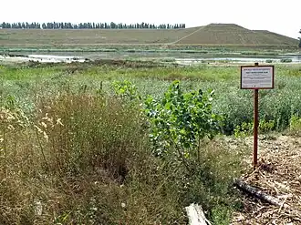 Natuurgebied Reigersbos te Berendrecht