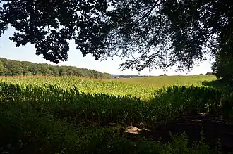 Natuurgebied de Duivelsberg