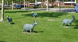 Geiten (1999), Bergen op Zoom